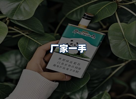 专业团队办公环境